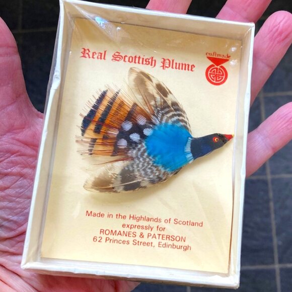 Vintage Scottish plume brooch in original box (never opened) - Picture 1 of 4